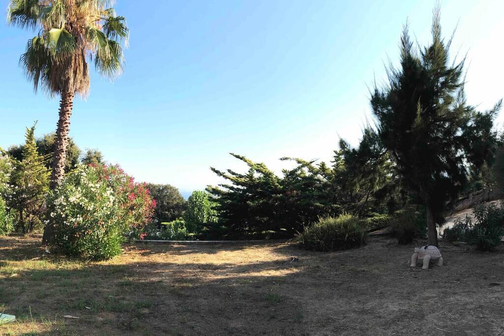 Rez De Villa Bordure Ajaccio Ajaccio  Eksteriør bilde